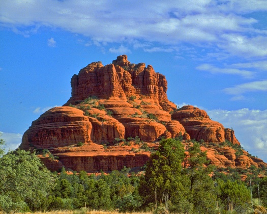 Coconino National Forest