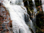 Cherokee National Forest