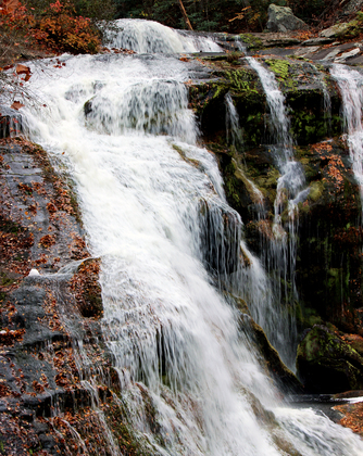 Cherokee National Forest
