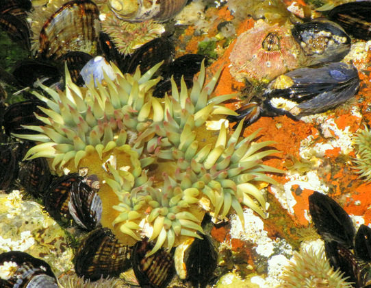 Channel Islands National Park