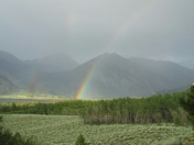 Lakeview Campground-Pike/San Isabel NF-FS