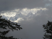 Teton National Forest