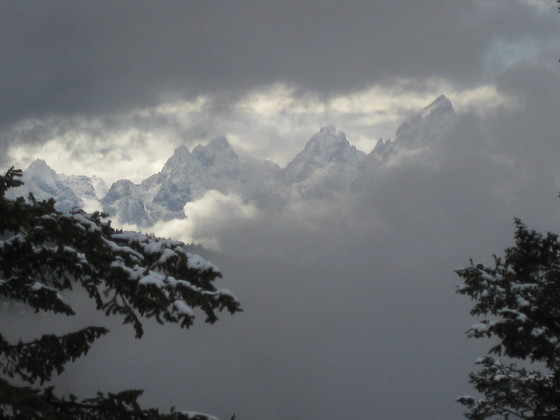 Teton National Forest