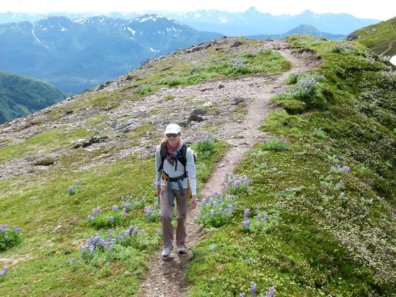 Mt Juneau/ Tongass National Forest