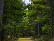 Acadia National Park, Maine