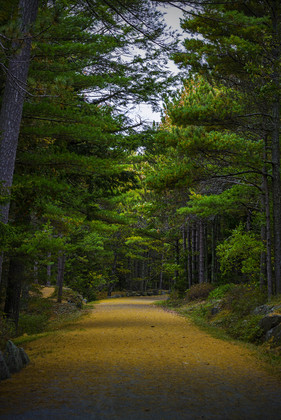 Acadia National Park, Maine