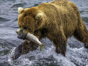 Katmai National Park and Preserve, Alaska