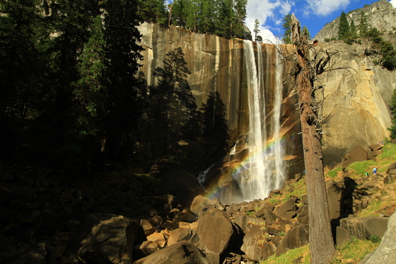 Yosemite National Park