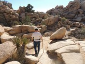 Joshua Tree National Park