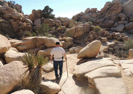 Joshua Tree National Park