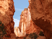Bryce National Park