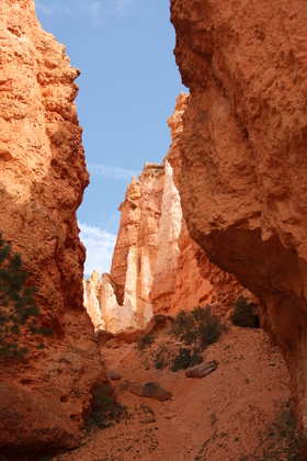 Bryce National Park