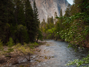Yosemite National Park