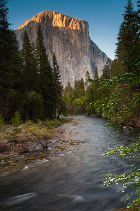 Yosemite National Park