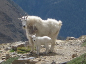 Glacier National Park