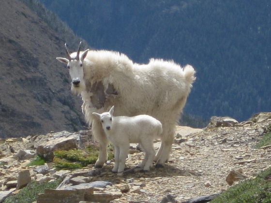 Glacier National Park