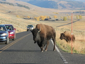 Yellowstone National Park