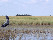 Everglades National Park