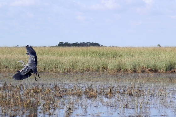 Everglades National Park