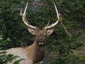 Rocky Mountain National Park