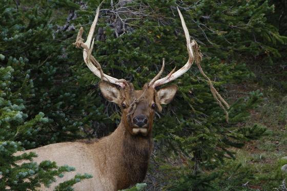 Rocky Mountain National Park