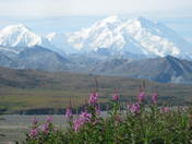 Denali National Park and Preserve