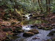Great Smoky Mountains National Park