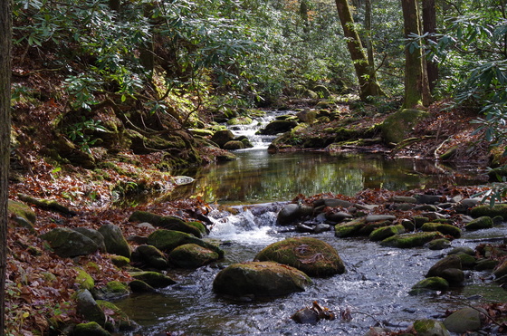 Great Smoky Mountains National Park