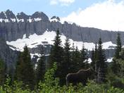 Glacier National Park
