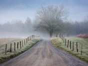 The Great Smoky Mountains National Park