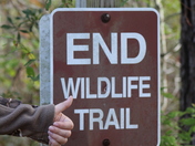 Alligator River National Wildlife Refuge