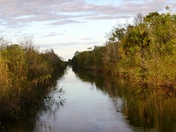 Florida Everglades
