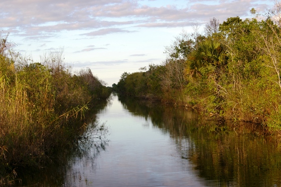 Florida Everglades