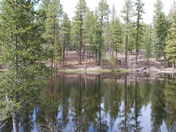 Lassen vulcanic National Park