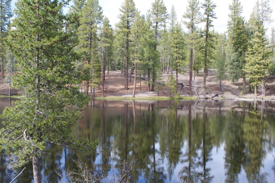 Lassen vulcanic National Park