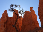 Bryce Canyon National Park
