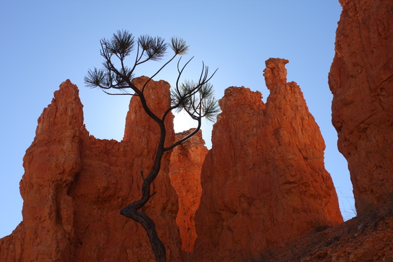 Bryce Canyon National Park