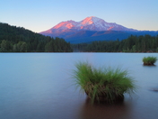 Mount Shasta