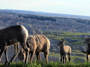 Badlands National Park