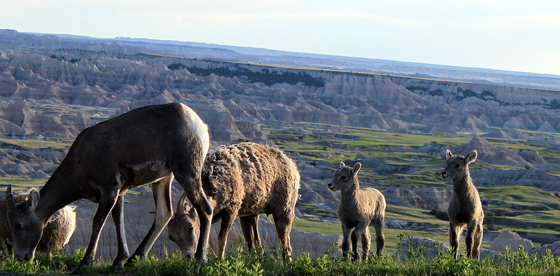 Badlands National Park