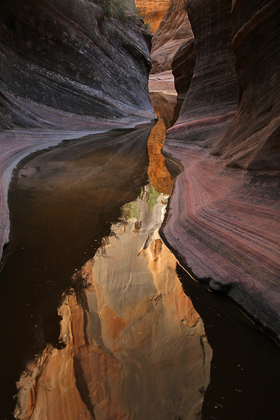 Zion National Park