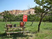 Capitol Reef National Park