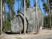 Yellowstone National Park