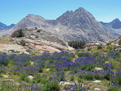 Kings Canyon National Park