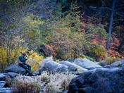 Shasta Trinity National Forest