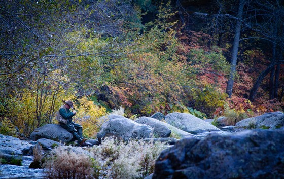 Shasta Trinity National Forest