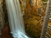 Deschutes & Ochoco National Forests