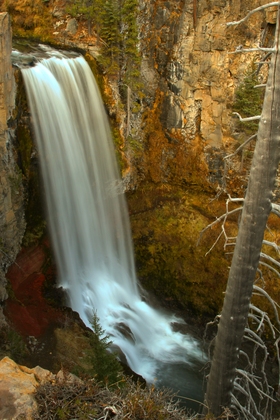 Deschutes & Ochoco National Forests