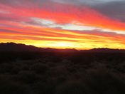 Nevada BLM Lands 