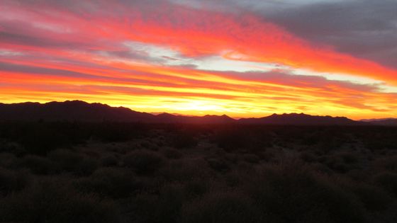 Nevada BLM Lands 